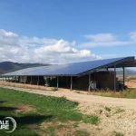 Hangar agricole photovoltaïque Likaj - Générale du Solaire